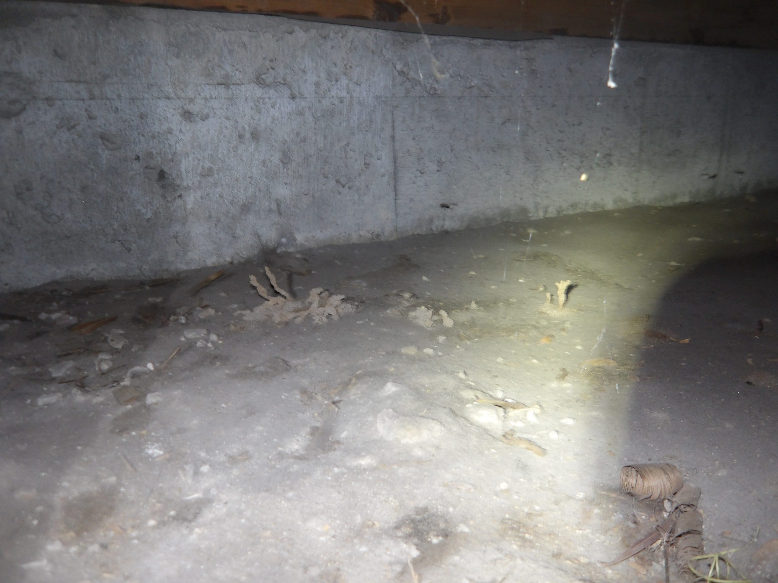 シロアリ駆除工事(築50年M様邸)