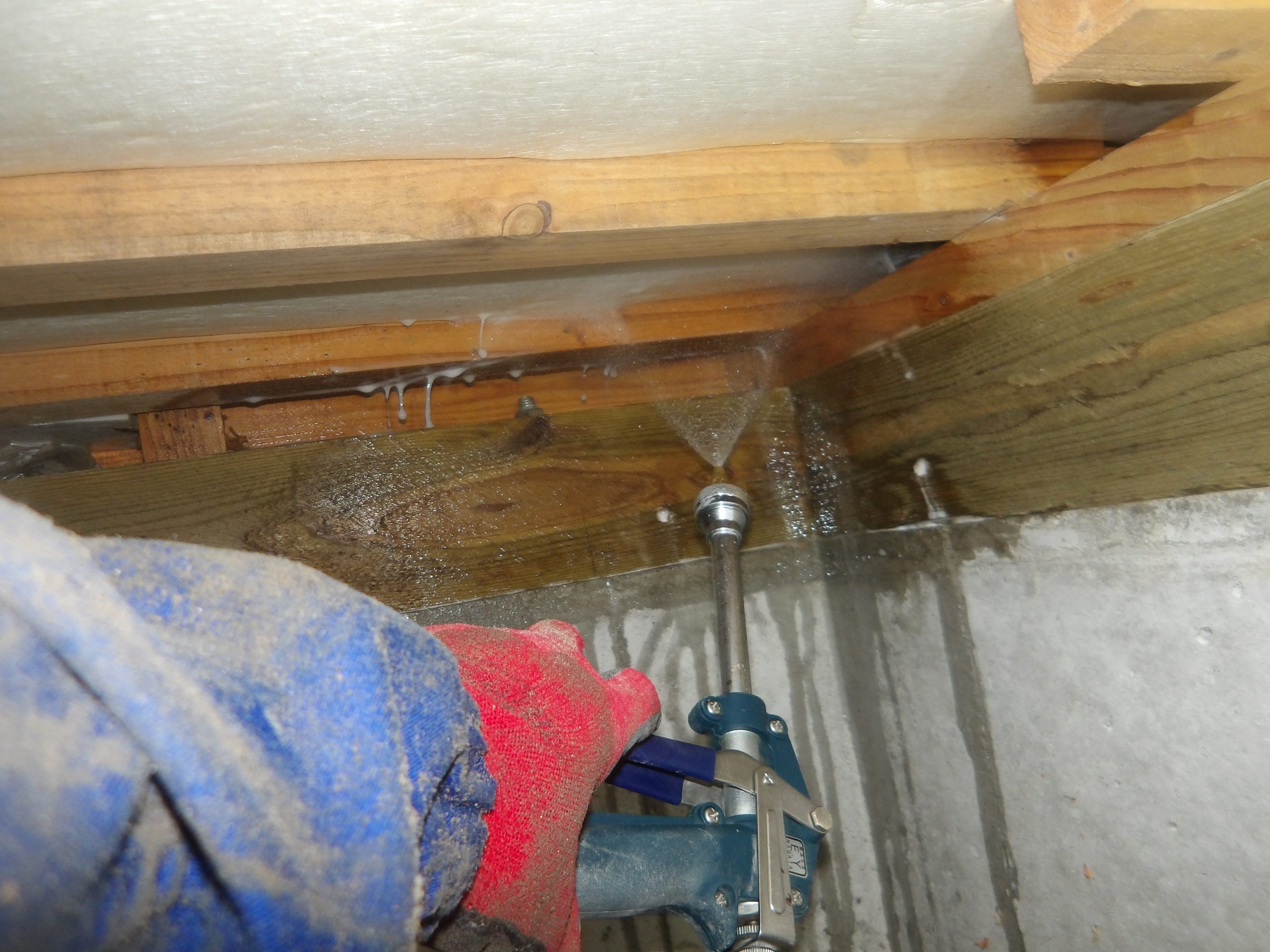 シロアリ予防工事(築50年F様邸)