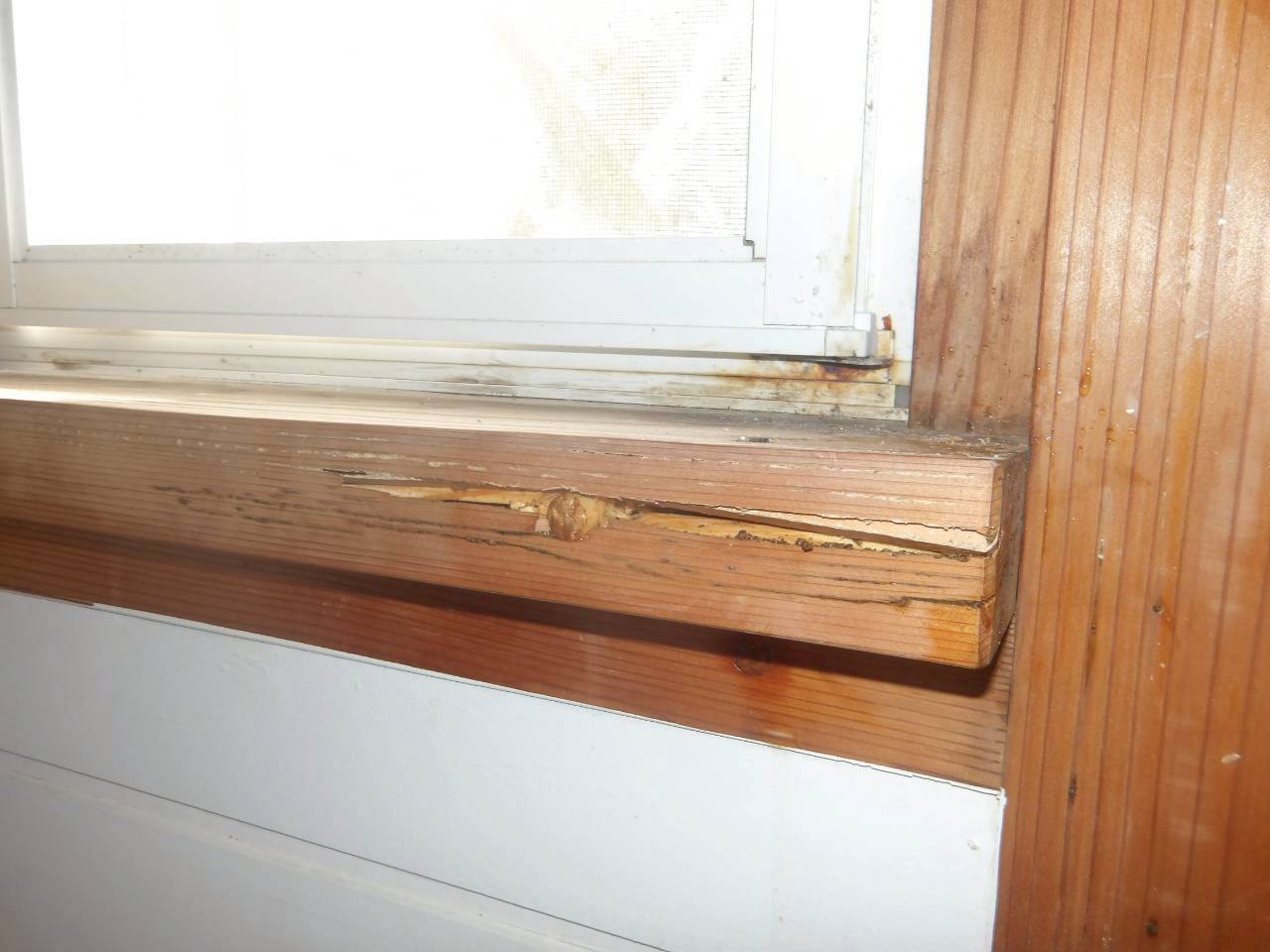 シロアリ駆除工事(築23年)